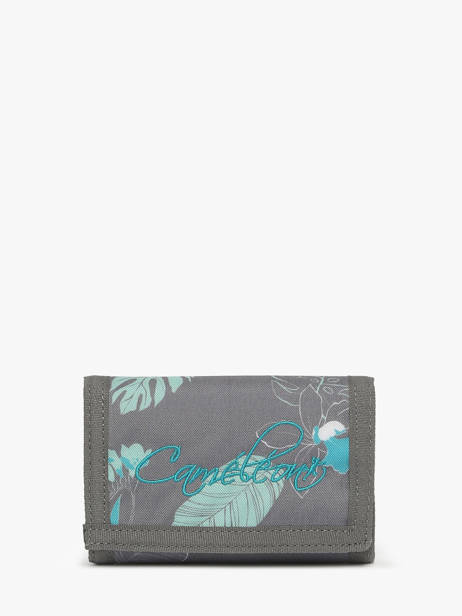 Velcro Wallet Cameleon Gray actual PBBAWALL