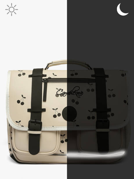 Vintage North Satchel Cameleon Beige vintage north CA38 other view 8