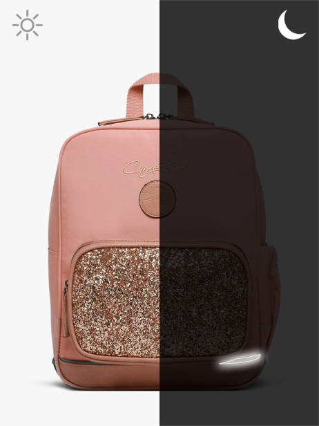 2-compartment Backpack Cameleon Pink vintage fantasy SD33 other view 8